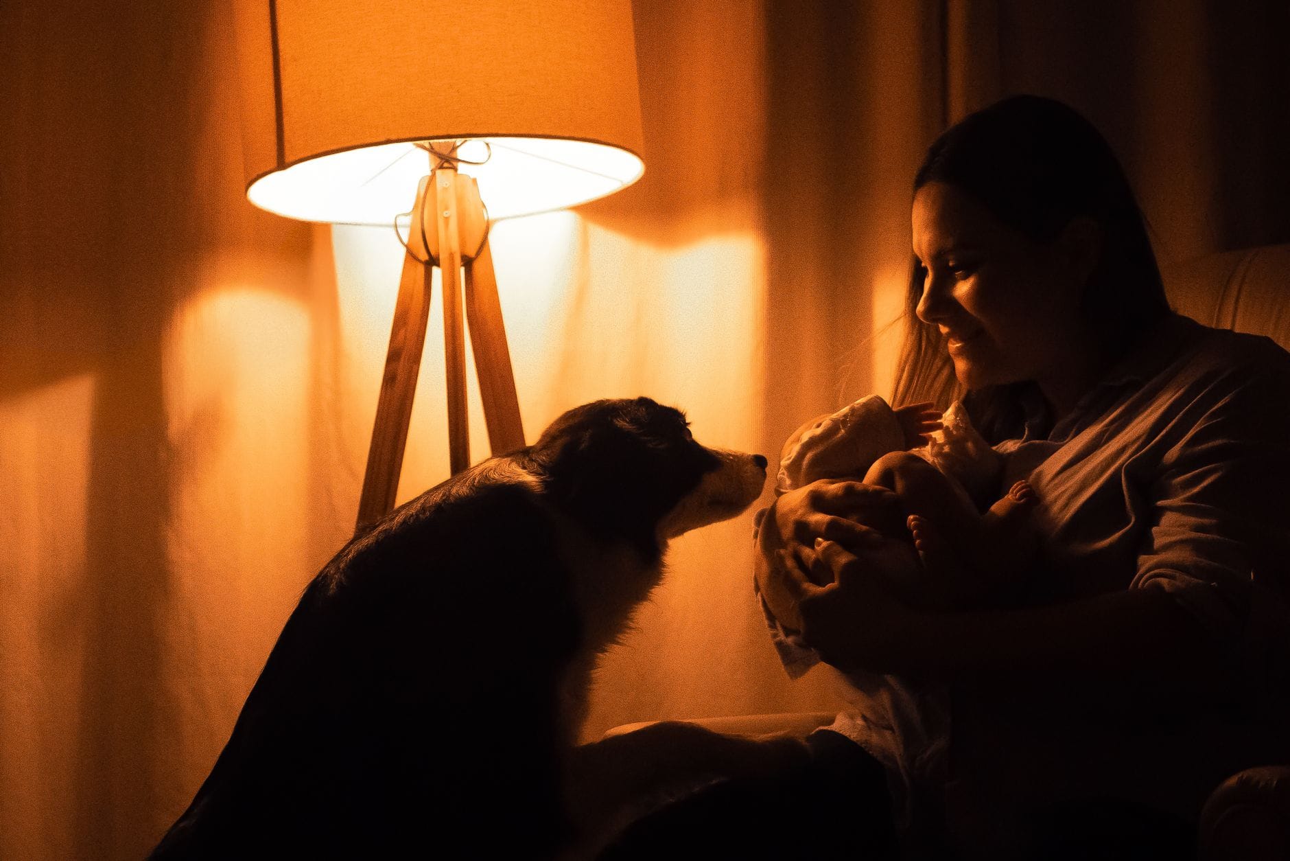 Mama tuli niemowlę w przyciemnionym pokoju, obok czuwa pies